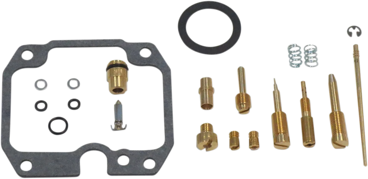 Carburetor Repair Kit
