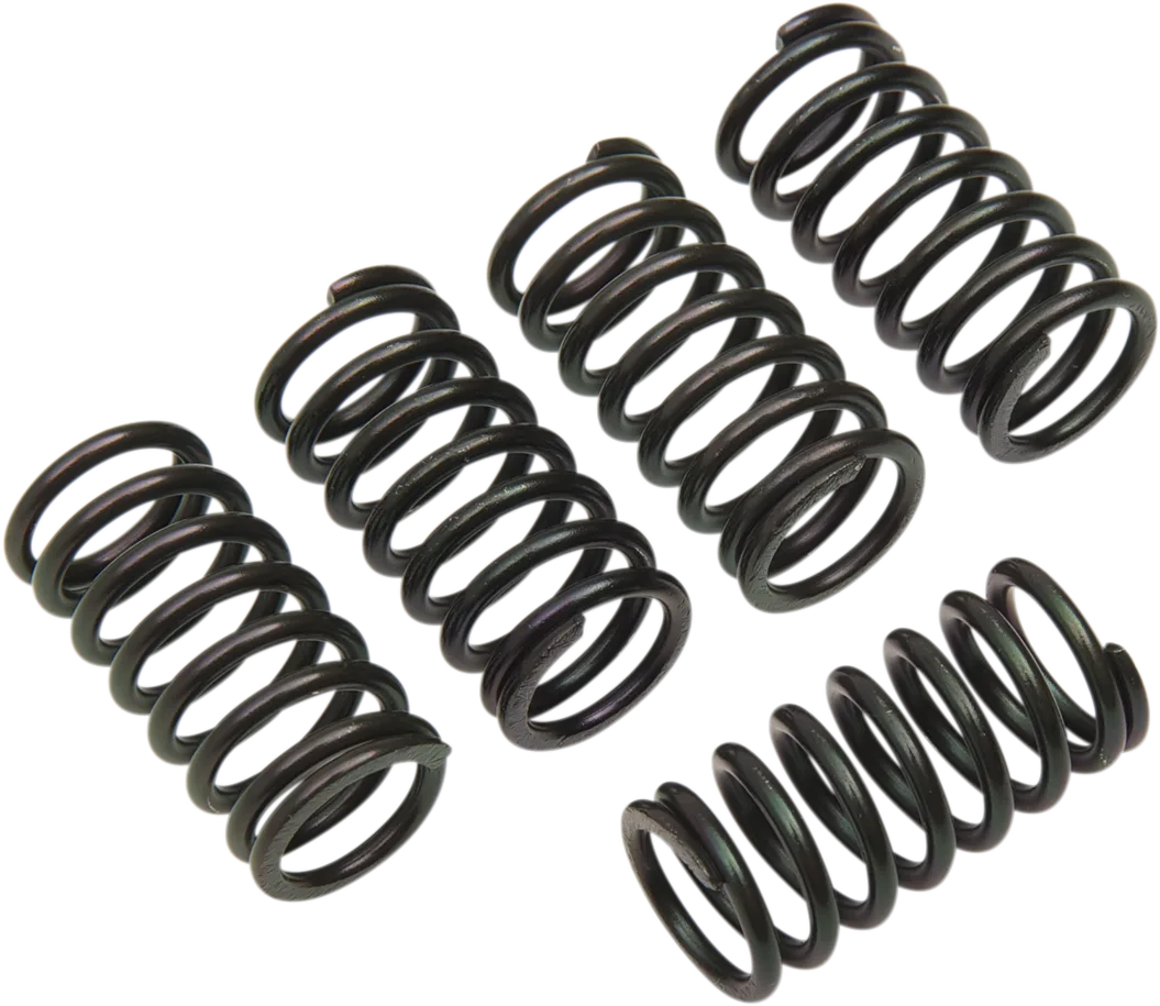 Clutch Spring Kit