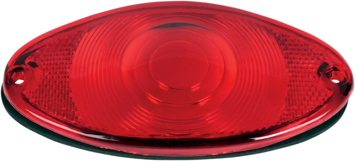 Replacement Lens with Gasket