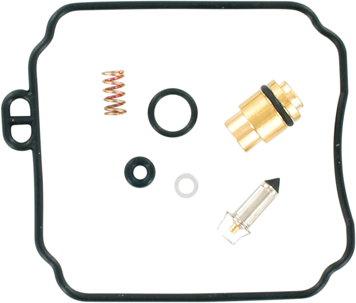 Carburetor Repair Kit