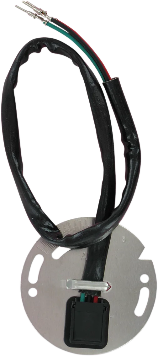 Ignition Sensor Assembly