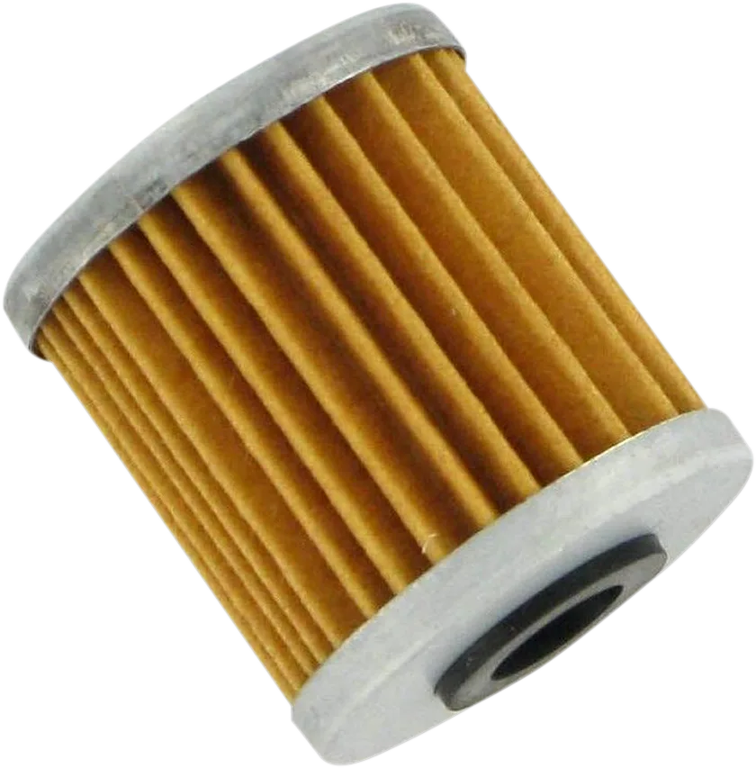 Oil Filter — Cartridge