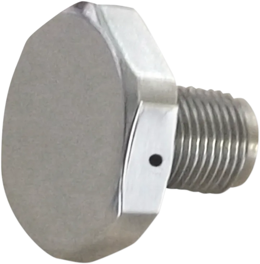 Upper Fork Tube Caps/Bolts — Standard