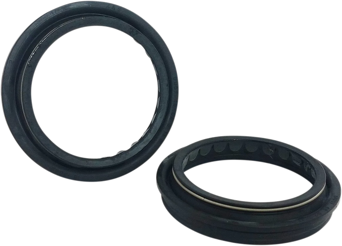 Dust Seal