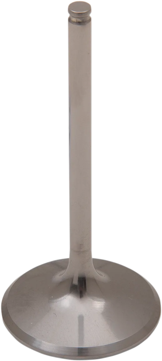 Titanium Engine Valve