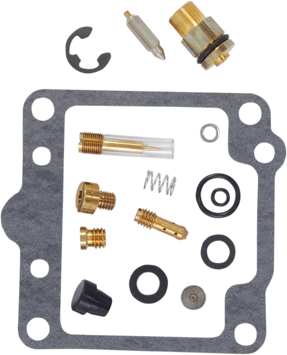 Carburetor Repair Kit