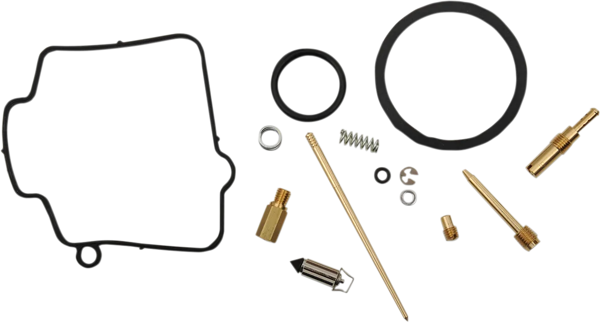Carburetor Repair Kit