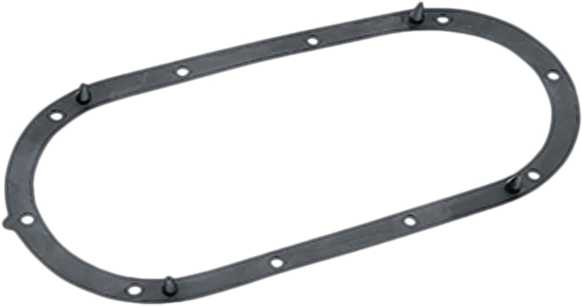 Fuel Pump Door Gasket