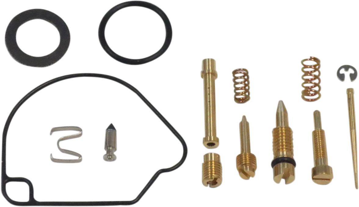 Carburetor Repair Kit