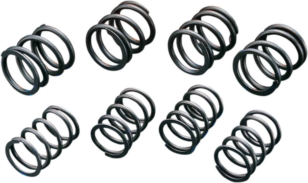 High-Lift Valve Springs