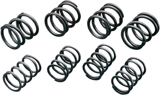 High-Lift Valve Springs