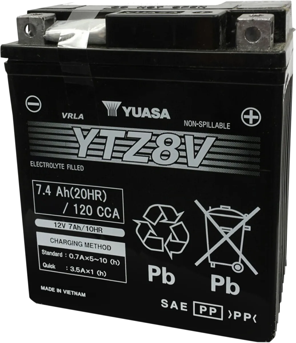High Performance AGM Maintenance-Free Battery