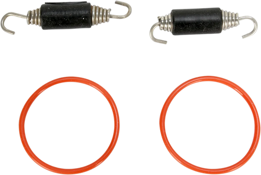 Pipe Spring/O-Ring Kit