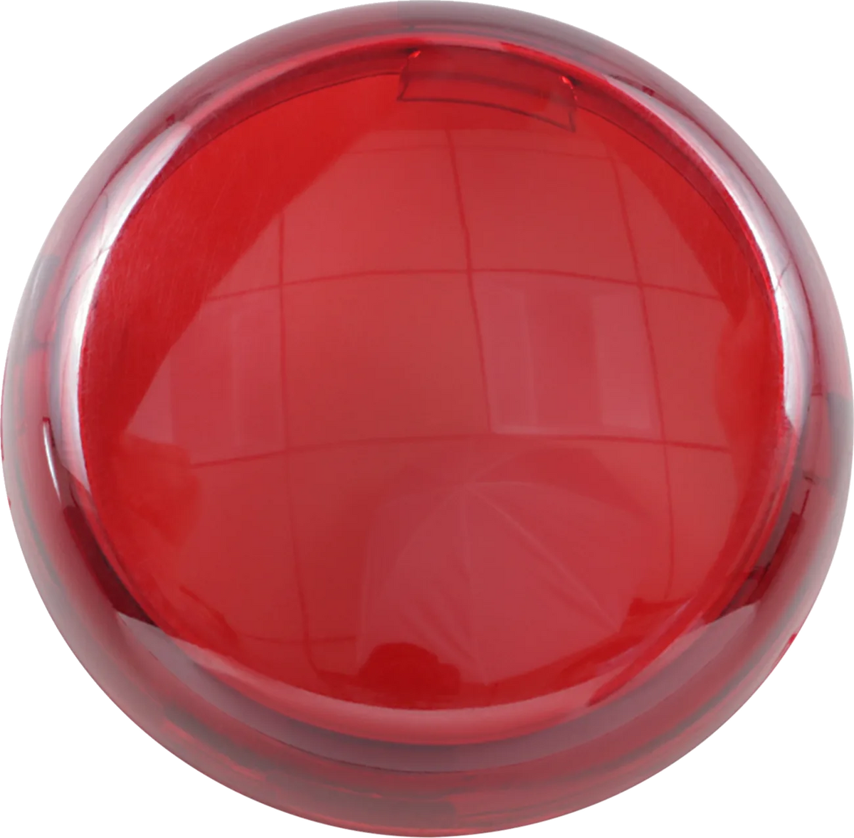 Replacement Turn Signal Lens