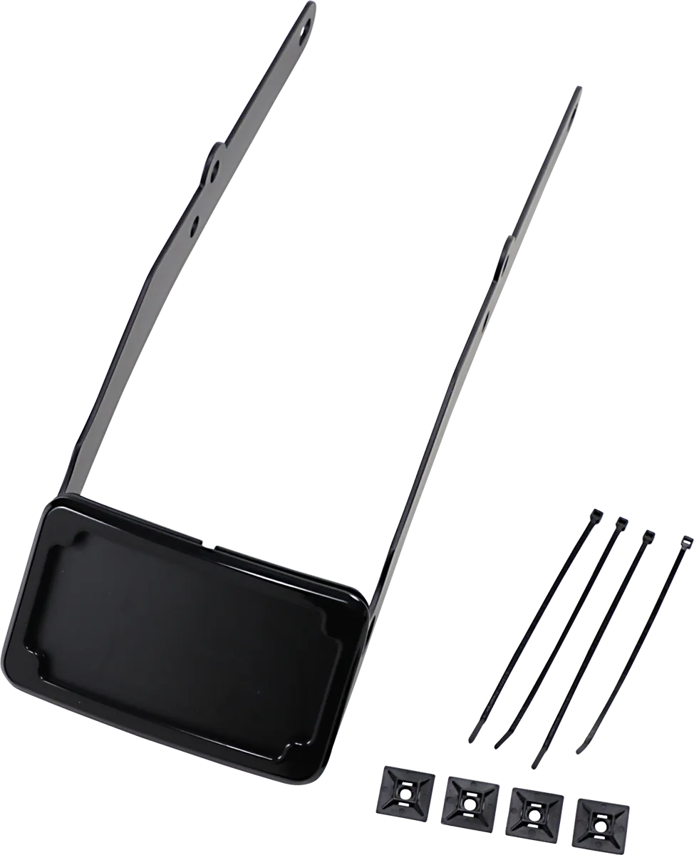 Curved License Mount with Frame