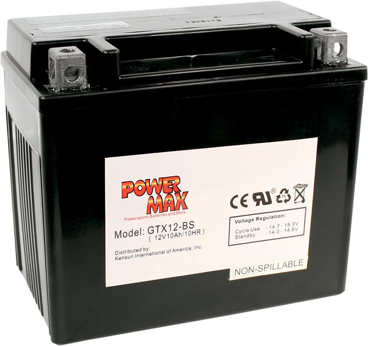 Maintenance-Free Battery