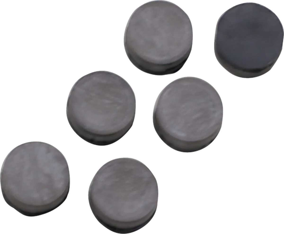Primary Clutch Button Kit