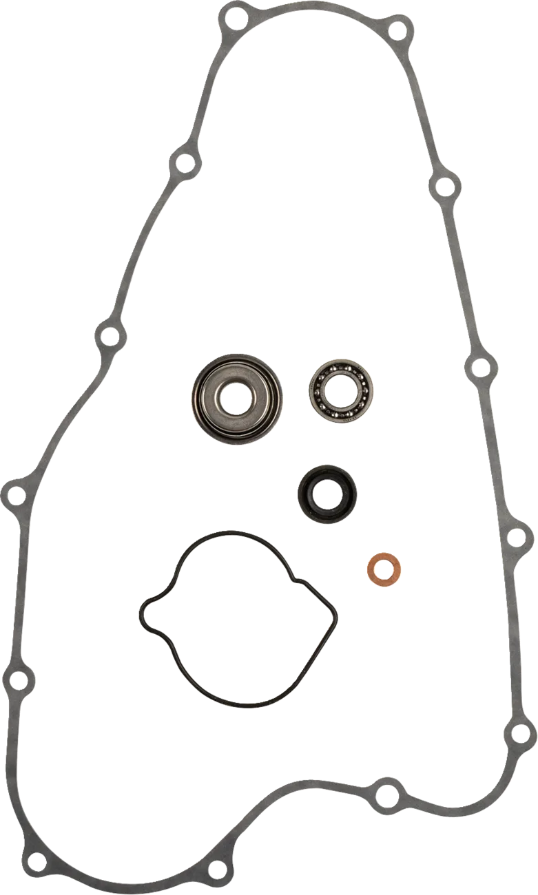 Water Pump Rebuild Kit