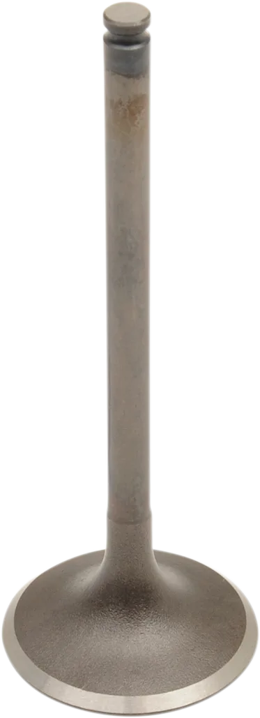 Engine Valve