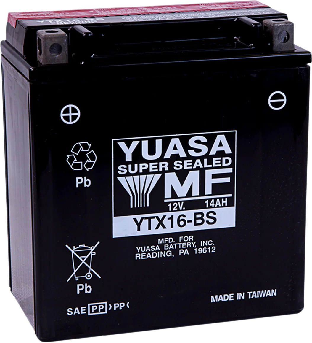 AGM Maintenance-Free Battery
