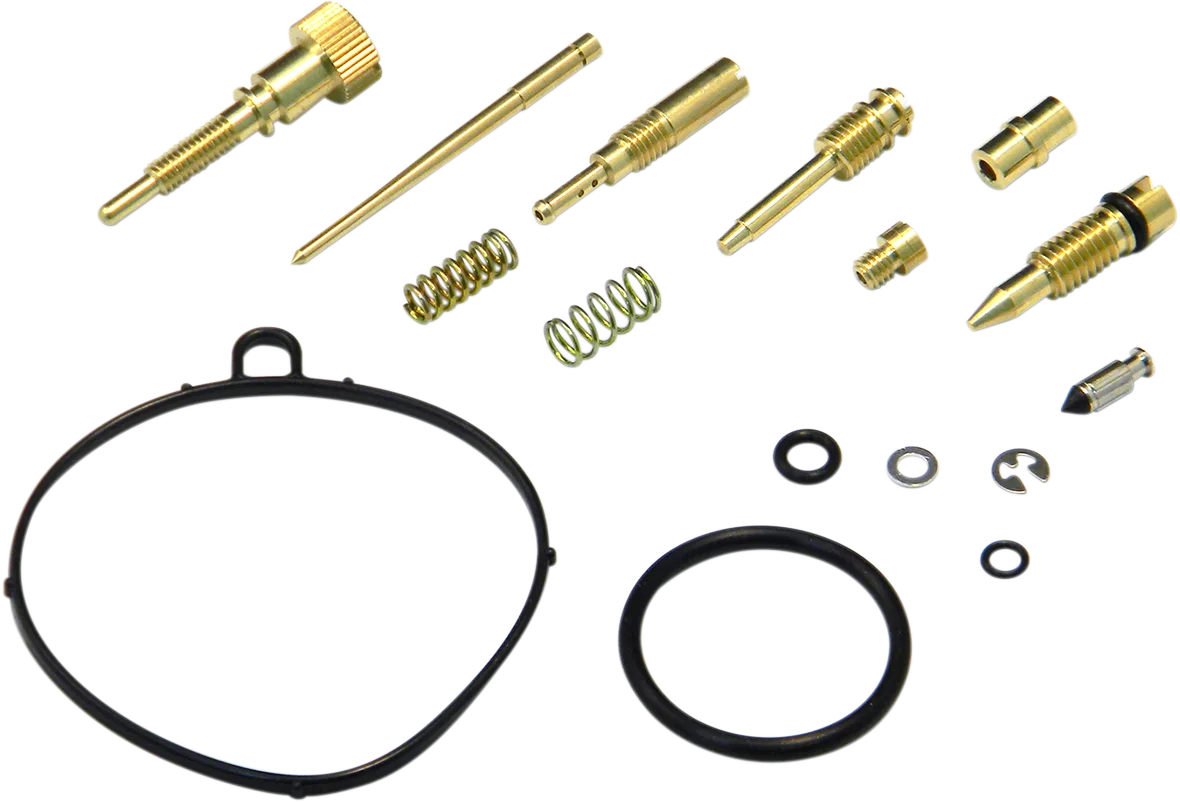 Carburetor Repair Kit