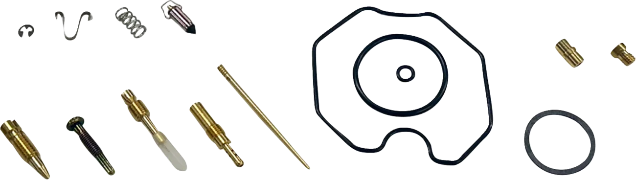 Carburetor Repair Kit