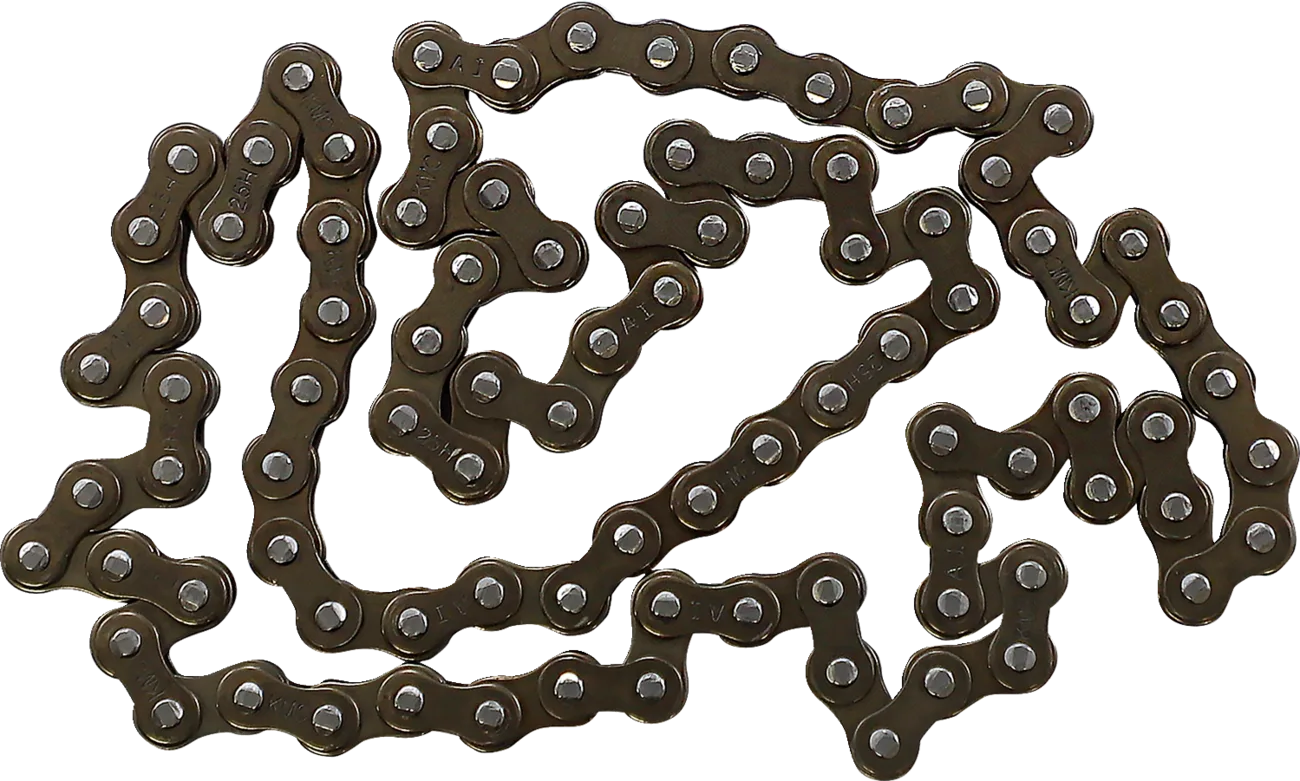 Cam Chain