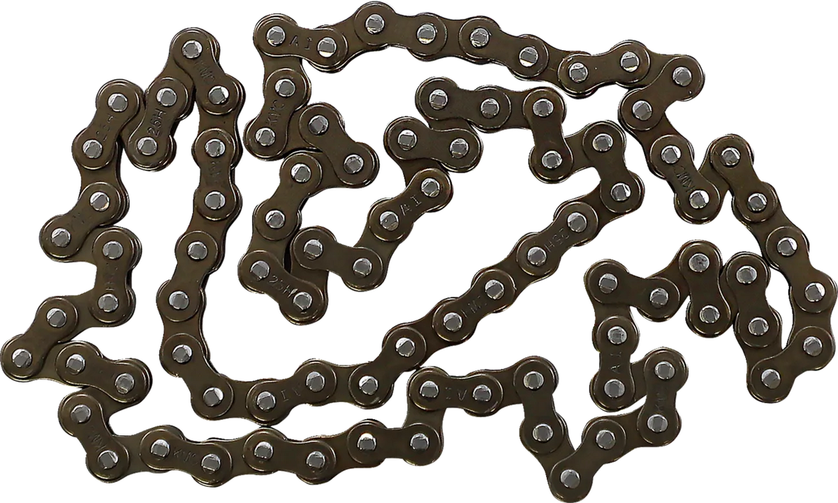Cam Chain