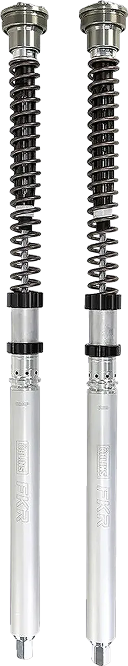 Fork Cartridge Kit