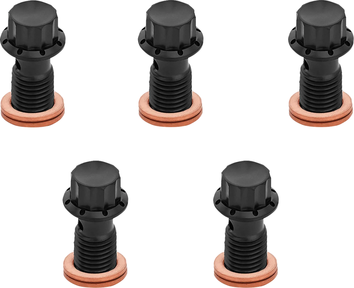 12-Point Titanium Banjo Bolts
