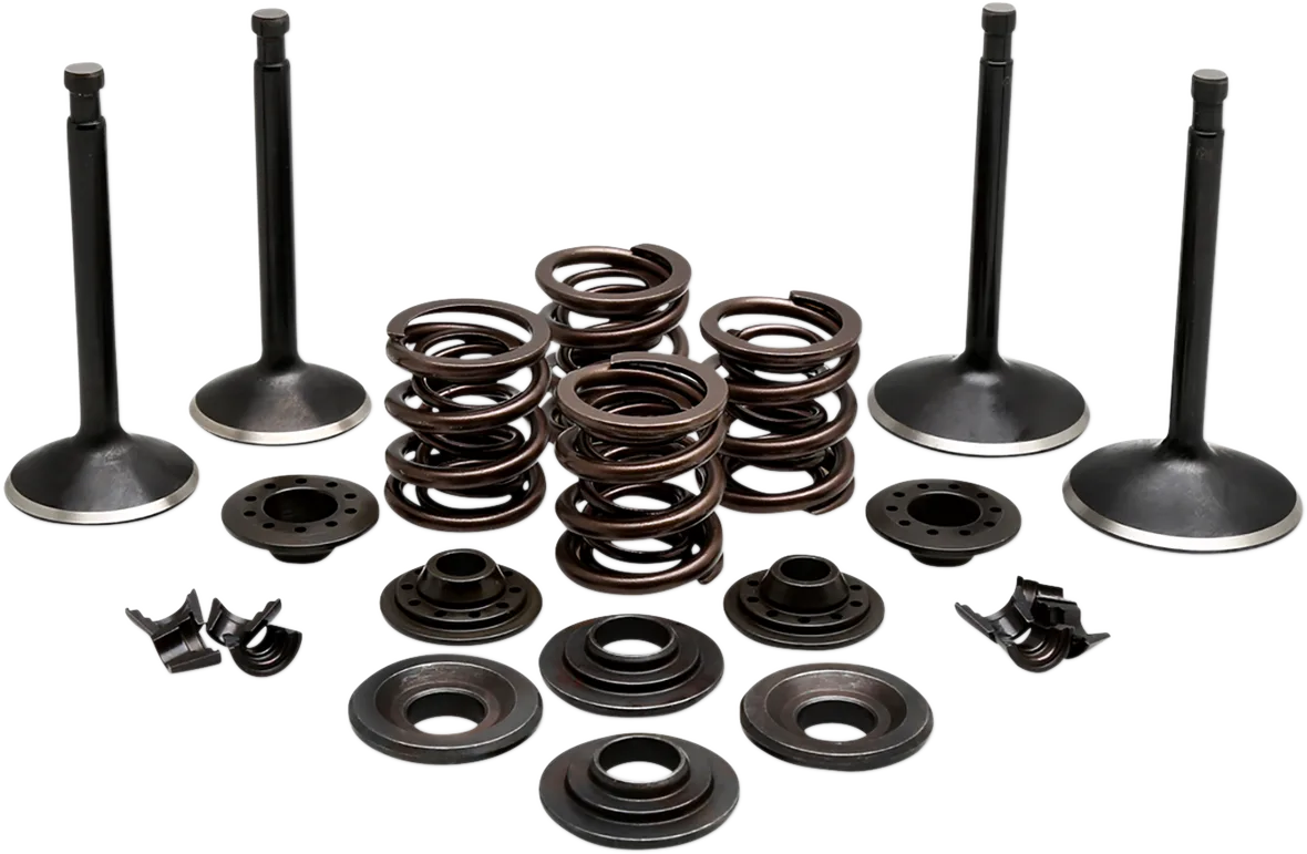 Engine Valve Kit
