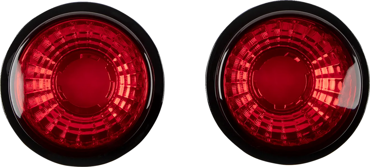 Halogen Taillights