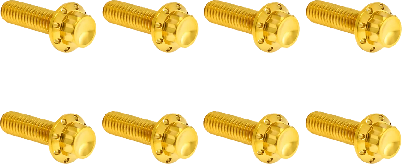 Transmission Trap Door Titanium 12-Point Bolt Kit — For M8 Models
