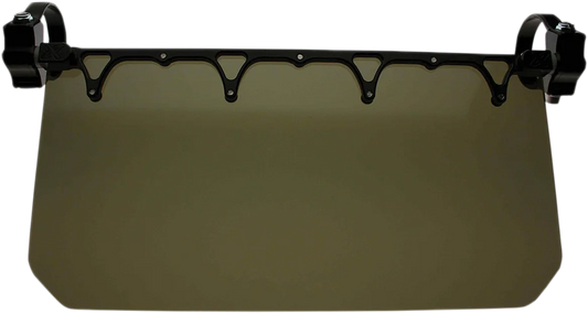 Sun Visor