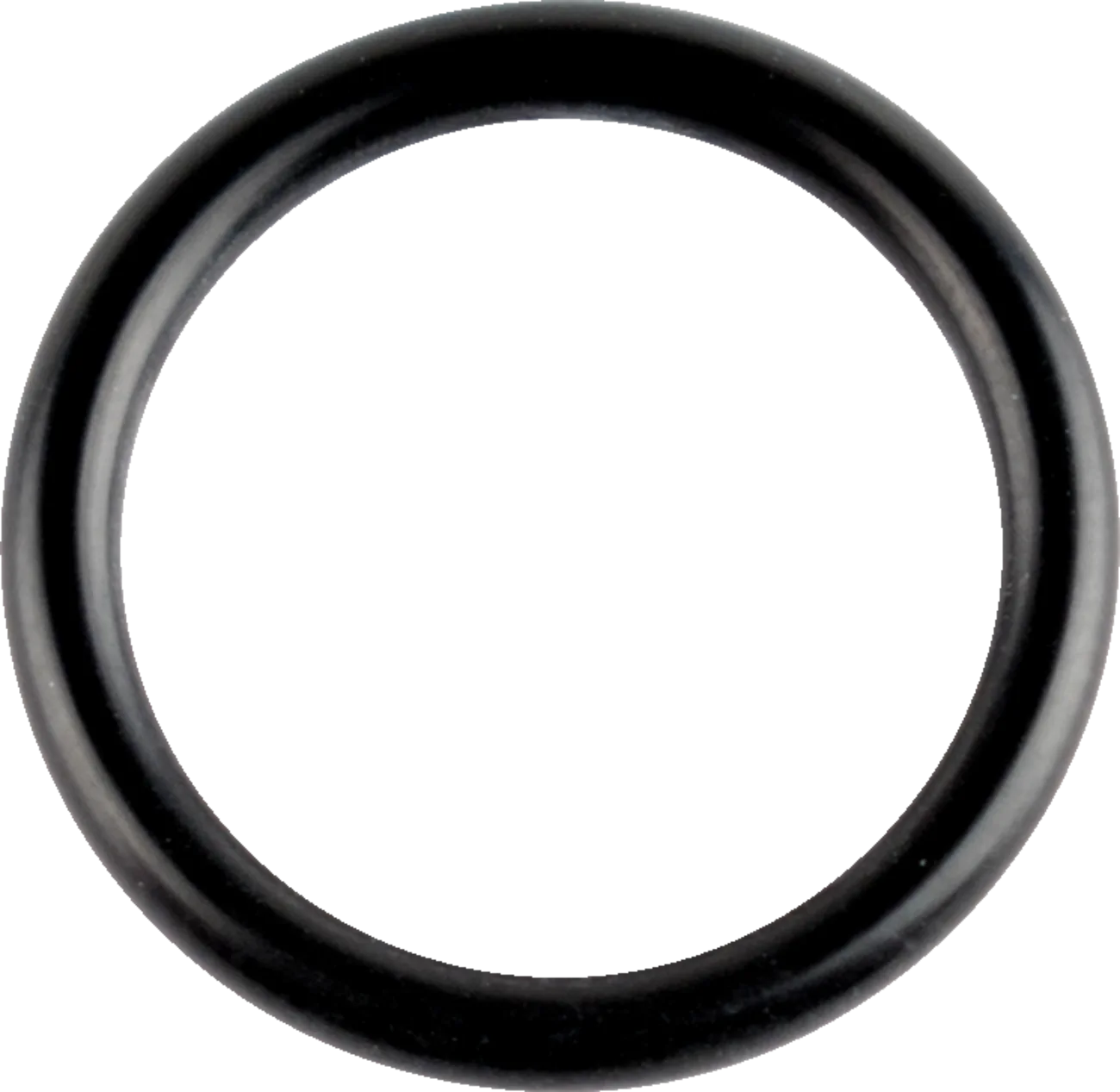 O-Ring/V-Ring