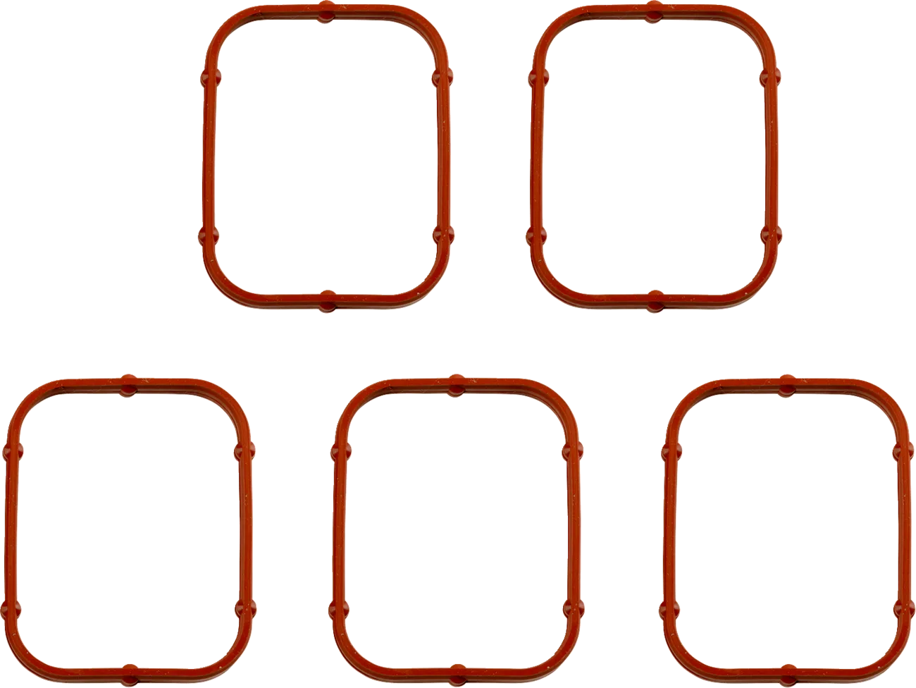 Rocker Gasket