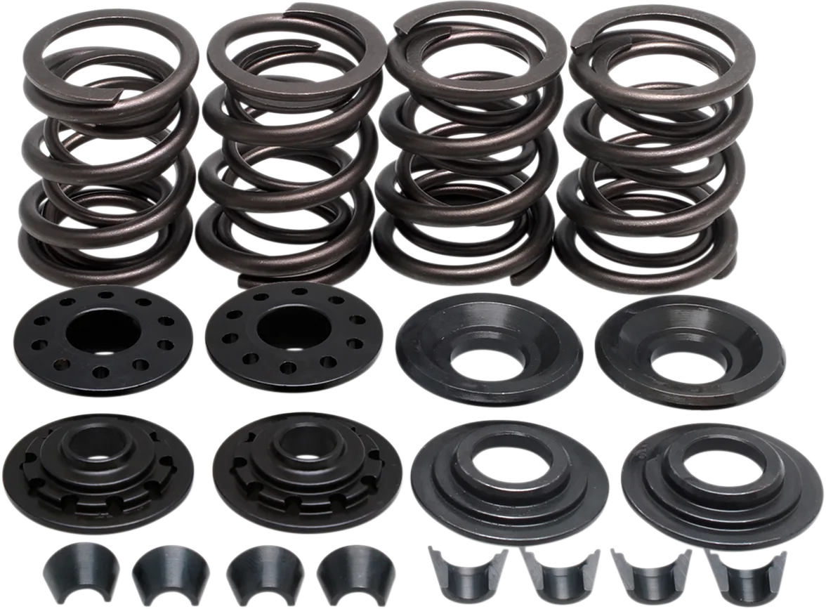 Racing Valve Spring Kit