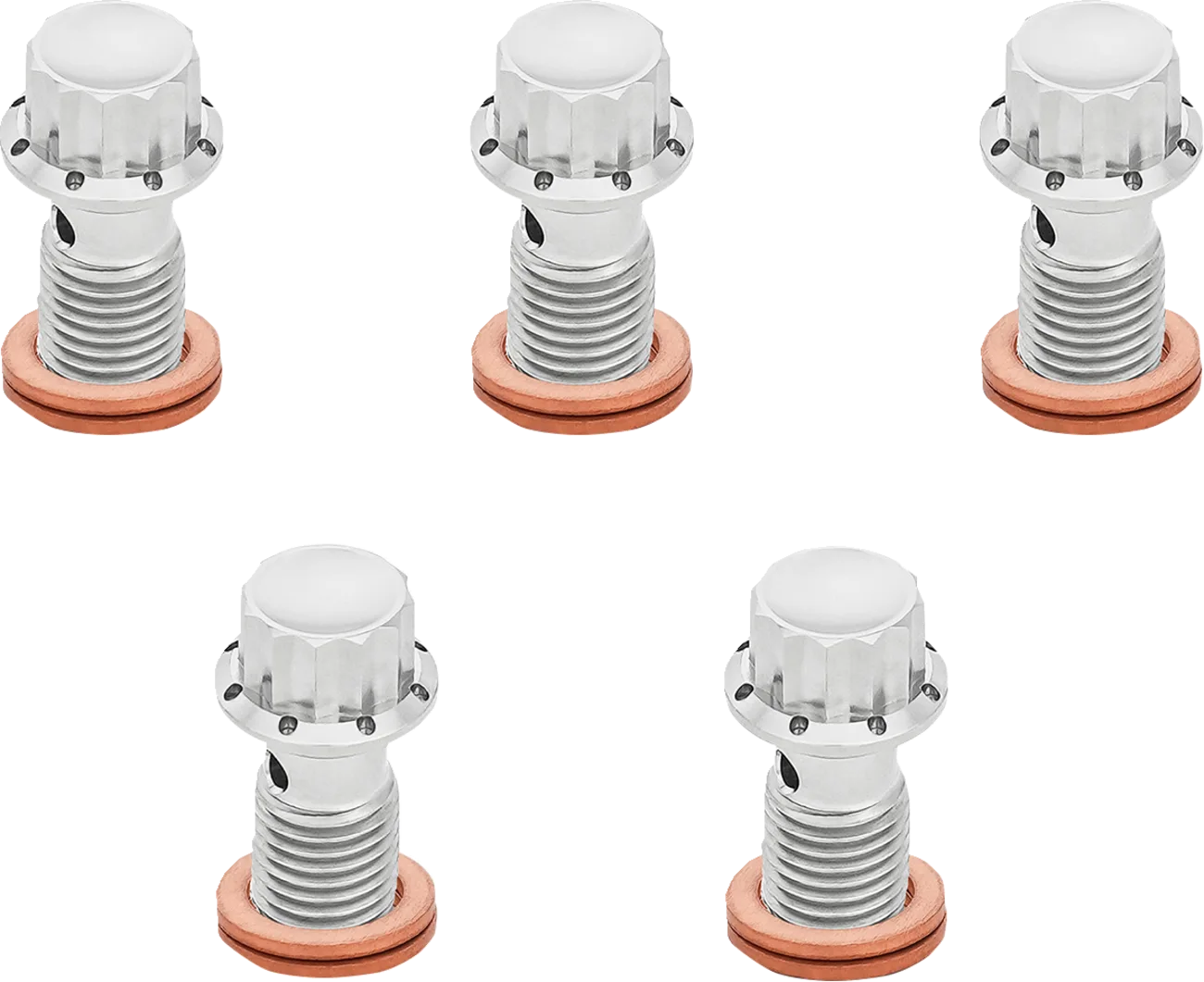 12-Point Titanium Banjo Bolts