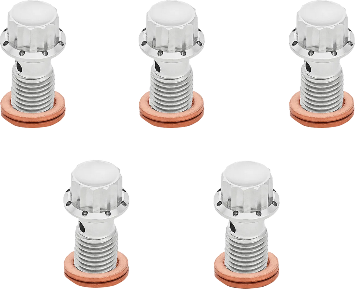 12-Point Titanium Banjo Bolts
