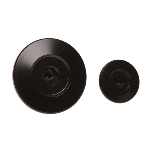 Engine Plugs