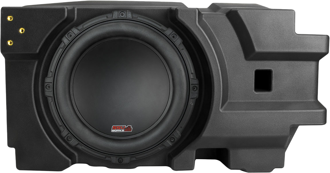 Ssv 10" Subwoofer And Box