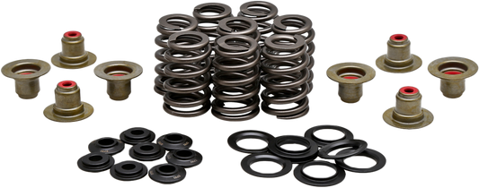 BEEHIVE VALVE SPRING KIT .550 LIFT  M8`17-24 NON VVT
