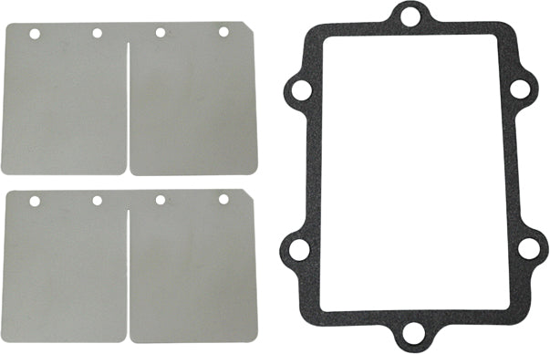 Reed Valve Rebuild Kit
