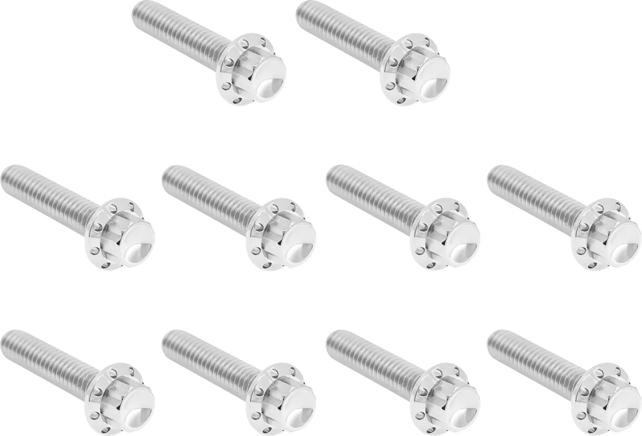 Cam Cover/Point Cover Titanium 12-Point Bolt Kit