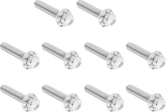 Cam Cover/Point Cover Titanium 12-Point Bolt Kit