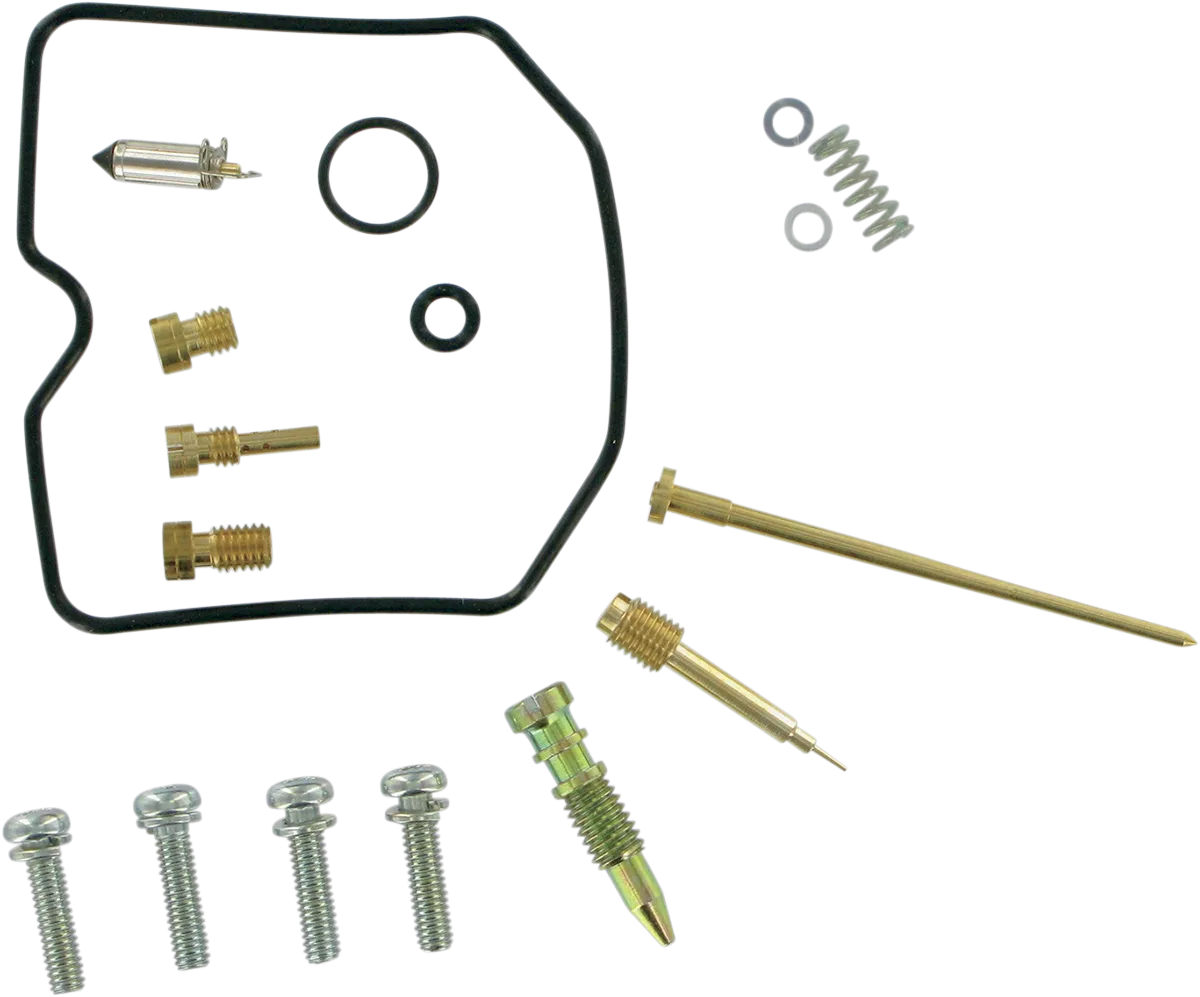Carburetor Repair Kit