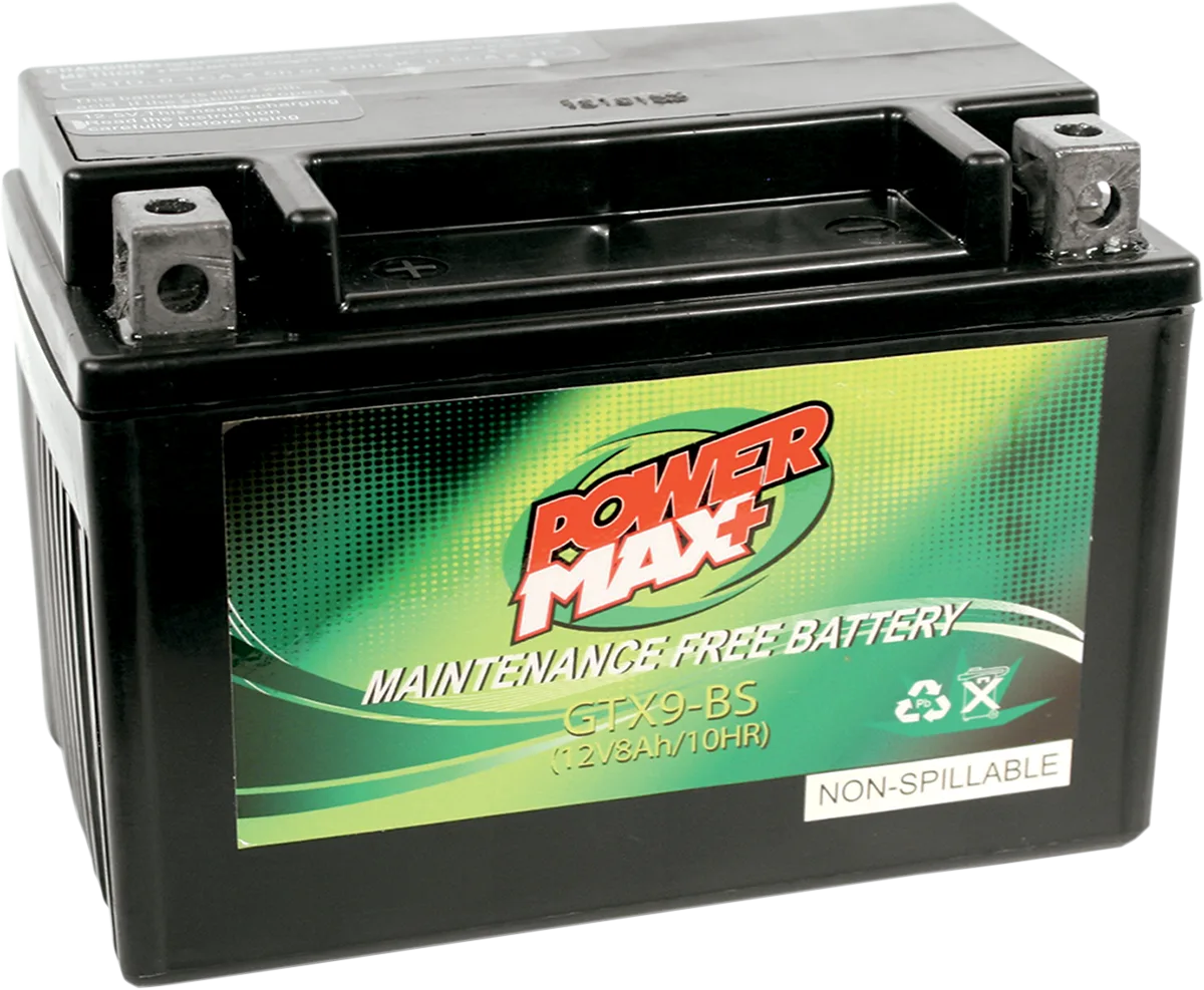 Maintenance-Free Battery