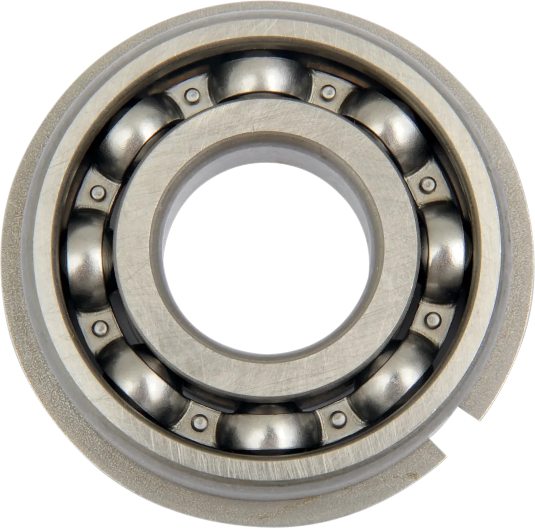 Counterbalance Shaft Bearing
