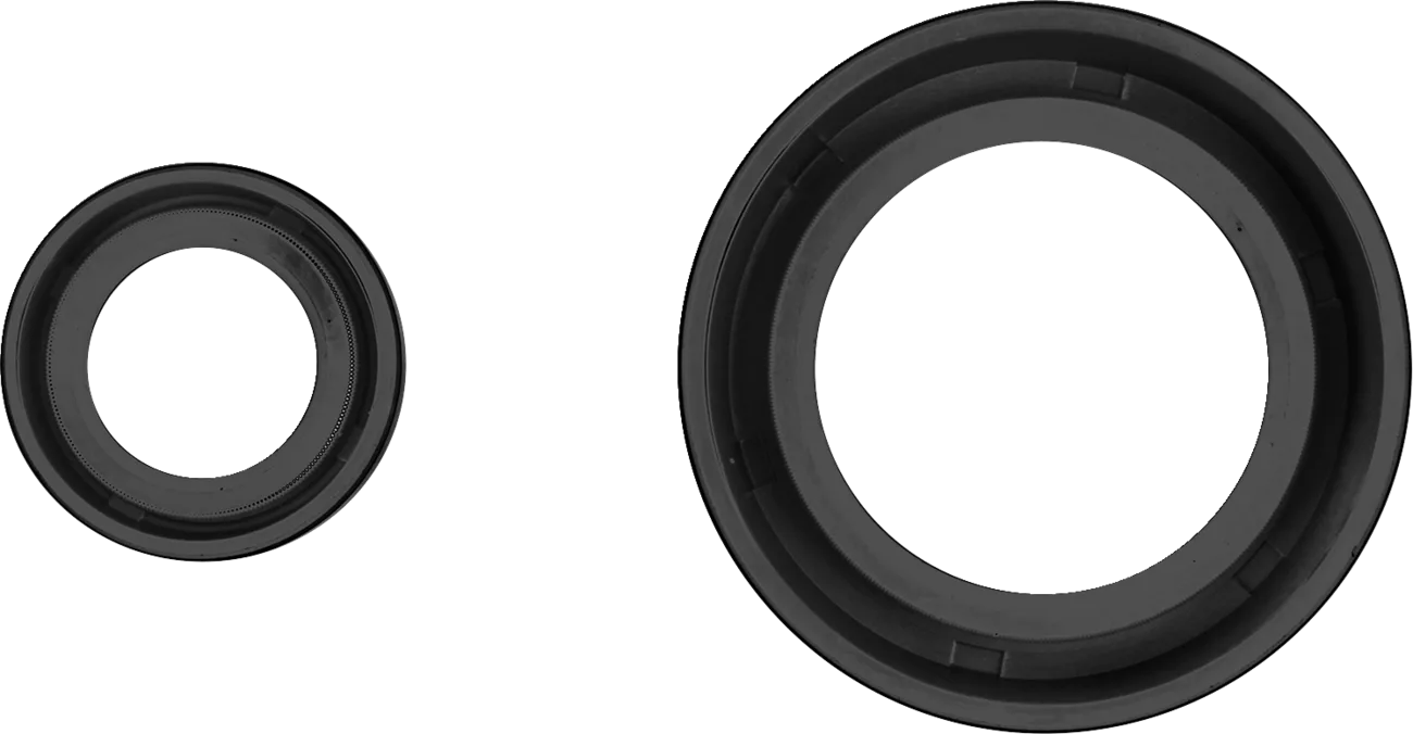 Crankshaft Oil Seal Kit