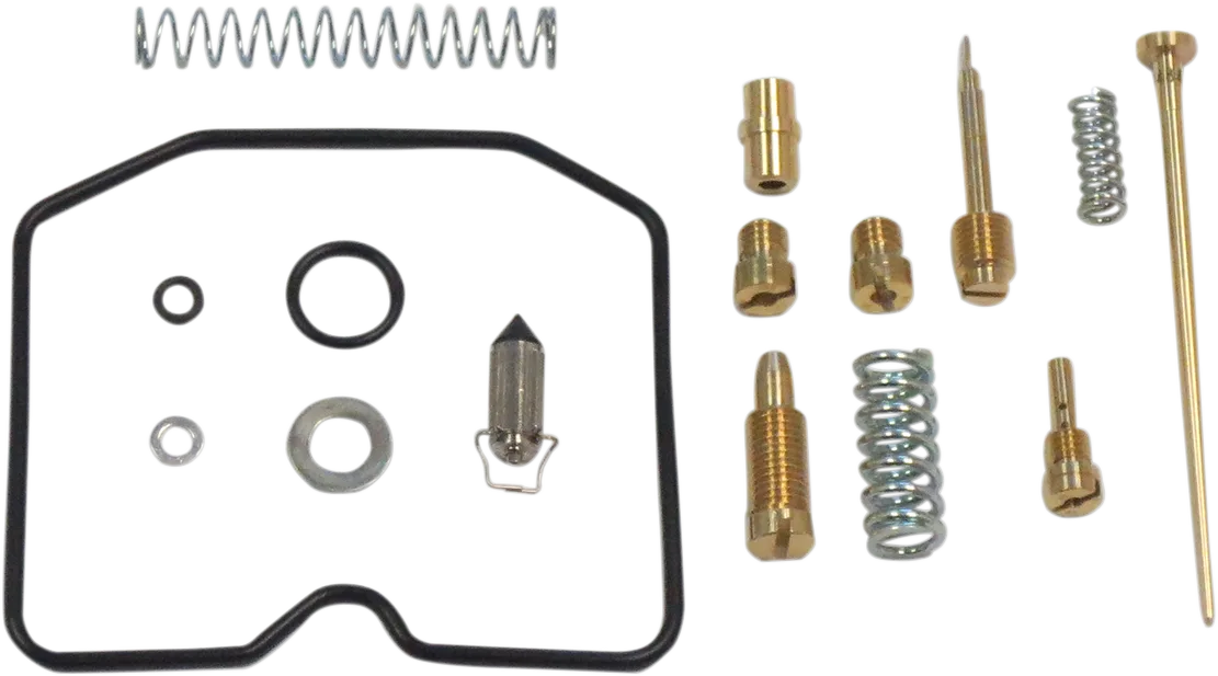 Carburetor Repair Kit